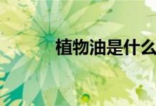 植物油是什么油（植物油介绍）