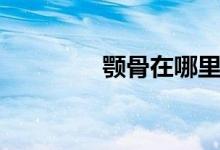 颚骨在哪里（颚骨的位置）