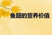 鱼翅的营养价值（大家不妨了解一下）