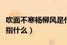 吹面不寒杨柳风是什么意思（吹面不寒杨柳风指什么）