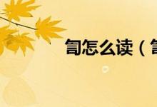 訇怎么读（訇字到底怎么读）