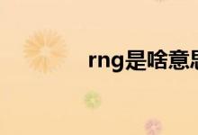 rng是啥意思（rng是什么）