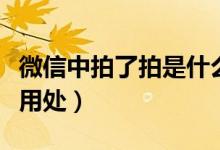 微信中拍了拍是什么意思（微信拍了拍有什么用处）