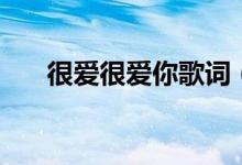 很爱很爱你歌词（很爱很爱你歌简介）