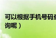 可以根据手机号码查到住址吗（具体该怎么查询呢）