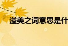 溢美之词意思是什么（溢美之词的意思）