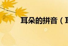 耳朵的拼音（耳朵的拼音及解释）
