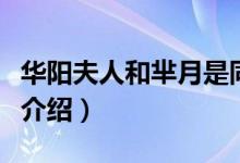 华阳夫人和芈月是同一个人吗（华阳夫人简单介绍）