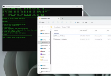 如何制作自己的轻量级 Windows ISO