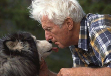 宠物如何成为老年人真正的救星