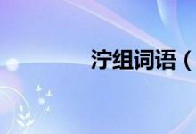 泞组词语（泞如何组词语）