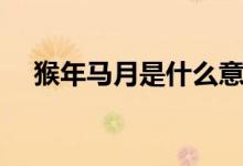 猴年马月是什么意思（猴年马月的含义）