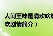 人间至味是清欢啥意思（电视剧人间至味是清欢剧情简介）
