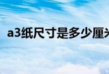 a3纸尺寸是多少厘米（a3纸的尺寸是多少）
