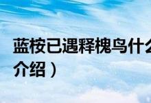 蓝桉已遇释槐鸟什么意思（蓝桉已遇释槐鸟意介绍）
