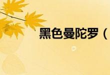 黑色曼陀罗（黑色曼陀罗介绍）