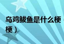 乌鸡鲅鱼是什么梗（饭圈用语乌鸡鲅鱼是什么梗）