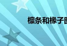 檩条和椽子图片（檩条计算）
