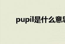 pupil是什么意思中文（pupil解释）