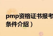pmp资格证书报考条件(pmp资格证书报考条件介绍)
