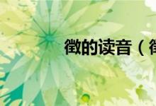 徴的读音（徴读音以及意思）