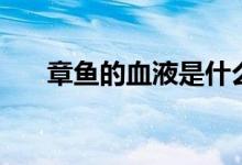 章鱼的血液是什么颜色的（章鱼介绍）