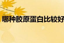哪种胶原蛋白比较好（什么胶原蛋白比较好）