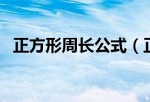 正方形周长公式（正方形周长公式是什么）