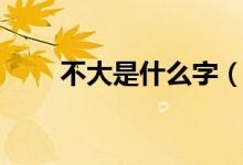 不大是什么字（不大应该是什么字）