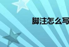 脚注怎么写（写脚注方法）