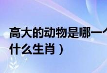 高大的动物是哪一个生肖（高大威猛的动物是什么生肖）