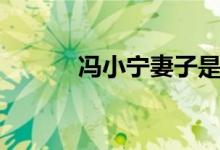 冯小宁妻子是谁（冯小宁妻子）