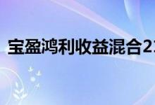 宝盈鸿利收益混合213001（宝盈鸿利收益）