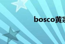 bosco黄宗泽（bosco）