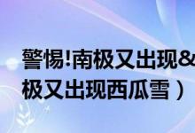 警惕!南极又出现"西瓜雪"（南极又出现西瓜雪）