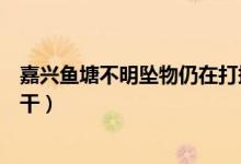 嘉兴鱼塘不明坠物仍在打捞（嘉兴现不明坠物鱼塘的水已抽干）