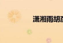 潇湘雨胡彦斌（潇湘雨）