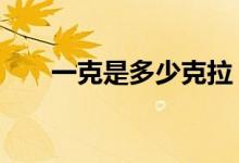 一克是多少克拉（1克等于多少克拉）