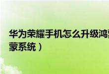 华为荣耀手机怎么升级鸿蒙系统（华为荣耀手机怎样升级鸿蒙系统）