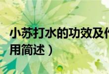 小苏打水的功效及作用（小苏打水的功效及作用简述）
