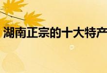 湖南正宗的十大特产（湖南十大特产有哪些）