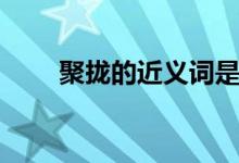聚拢的近义词是什么（聚拢的含义）