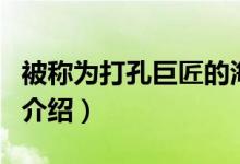 被称为打孔巨匠的海洋生物是（韦德尔氏海豹介绍）