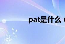 pat是什么（PAT系统介绍）