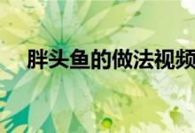 胖头鱼的做法视频播放（胖头鱼的做法）