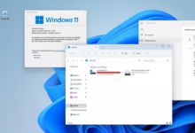 Live11在 RAM 中运行的 Windows 11 Live Disk 可供下载
