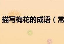 描写梅花的成语（常见描写梅花的成语集锦）