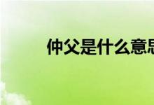 仲父是什么意思啊（什么是仲父）
