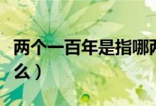 两个一百年是指哪两个（两个一百年分别是什么）