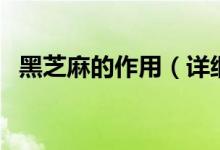 黑芝麻的作用（详细功效作用及注意事项）